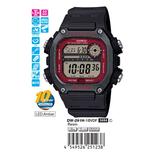 DW-291H-1BVDF